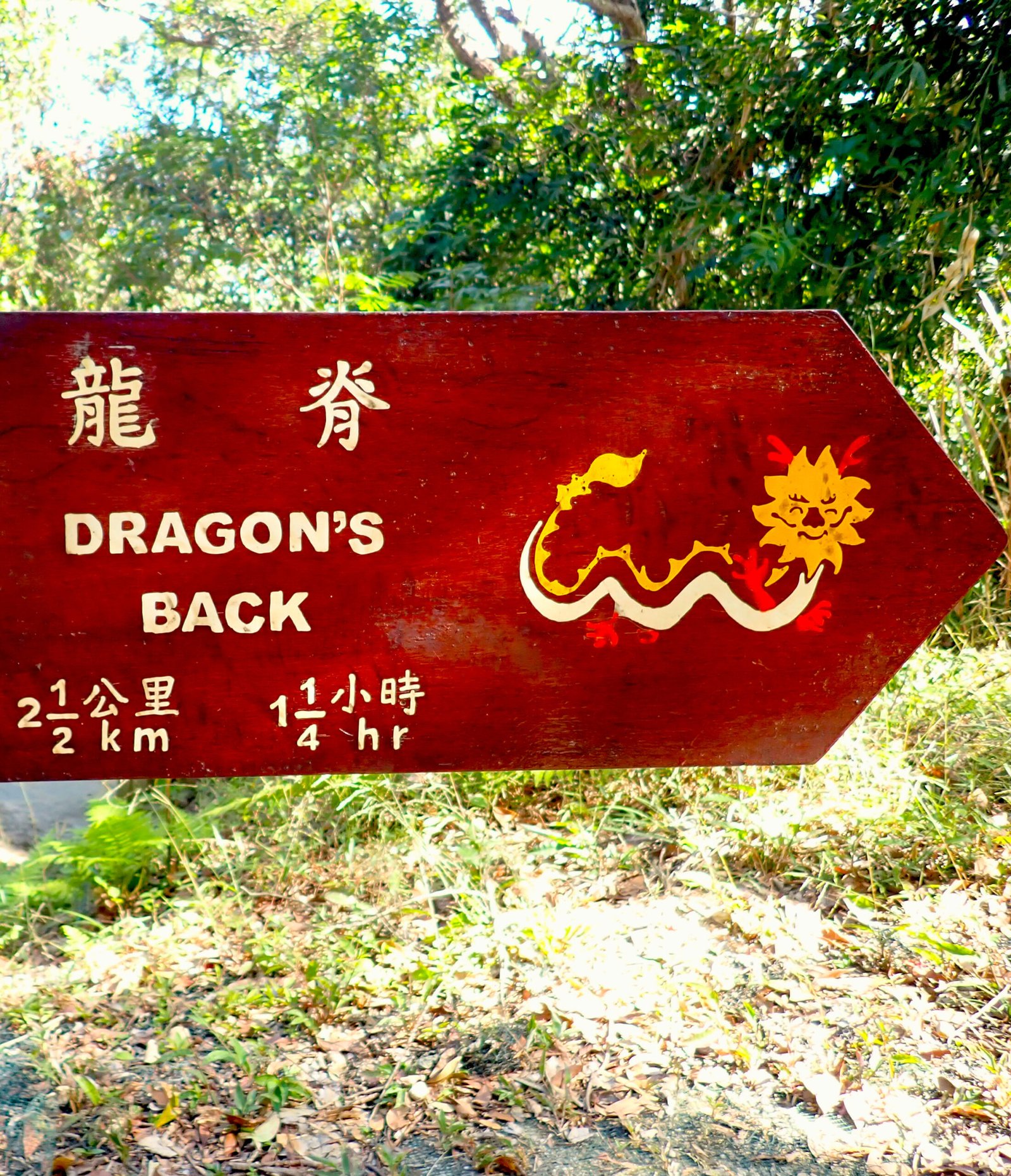Hiking the Dragon’s Back in Hong Kong: A beginner’s guide