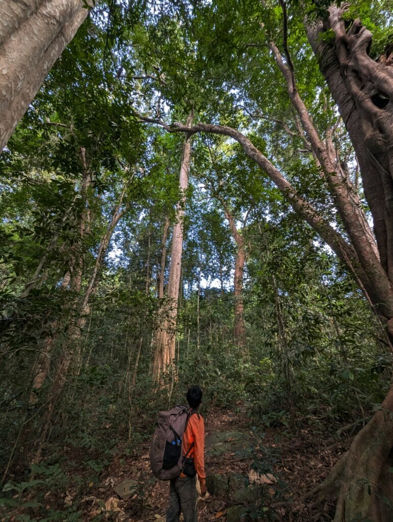 Jungle trekking in Ratanakiri, Cambodia – what to expect